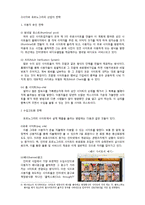 [사이버커뮤니케이션] 포르노그라피와 알 권리-13