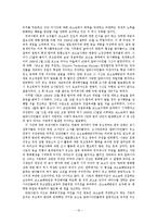 [국제정세] 코소보사태와 NATO-10