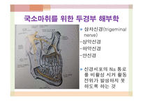 국소마취와 진정요법-6