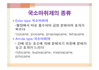 국소마취와 진정요법-8
