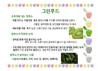 [웰빙식품] 건강한 컬러푸드-11