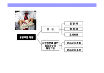 [사회복지 재원에 대한 이해] 사회복지 재원에 대한 이해-3
