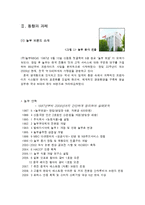 [국제 마케팅] 놀부NBG 해외 마케팅- 일본 시장 진출기 A+-3