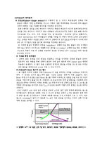 [공학계열] - 미래소자에 대한 연구 --4
