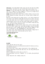 [국제경영학] 닌텐도의 현황 분석 및 향후 시장 확대를 위한 과제 -한국시장을 중심으로-11