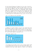 [한국경제론] 수출-내수 양극화의 원인과 영향 및 대응방안-12