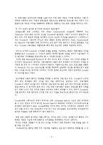 [MIS, 경영정보론] 유튜브와 ucc-5