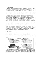 [마케팅] 여성 과실주 신제품을 위한 마케팅전략서-2