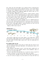 [금융상품론] GM 대우 선물환 헤지-11