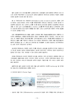 [국제경영] 퓨전경영-13