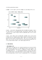 [마케팅전략] CJ뉴트라 에너지 바(다이어트바, 에너지바) 마케팅전략-11