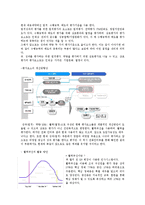 대웅제약 평가 제도 안내-4