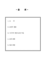 다국적 기업 나이키(Nike)의 조직분석-2