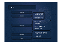국내 화장품산업 분석 - 아모레 퍼시픽, 한불화장품-2