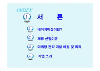 [소비자행동] 내비게이션 파인드라이브 IQ500의 마케팅 전략-3