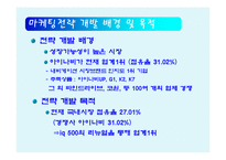 [소비자행동] 내비게이션 파인드라이브 IQ500의 마케팅 전략-6