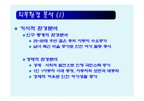 [소비자행동] 내비게이션 파인드라이브 IQ500의 마케팅 전략-10