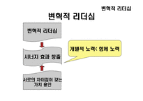 [조직행동론] 리더십 이론-19