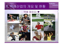 [물류산업] 국내택배산업-2