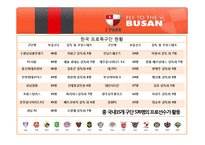 [마케팅] 부산 아이파크 마케팅 전략-6