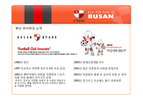 [마케팅] 부산 아이파크 마케팅 전략-11