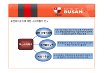 [마케팅] 부산 아이파크 마케팅 전략-20