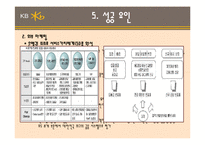 국민은행 성공요인과 전략-20