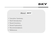 [브랜드전략] SKY 스카이 브랜드전략-2