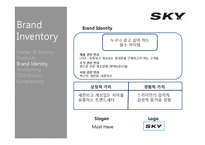 [브랜드전략] SKY 스카이 브랜드전략-8