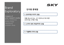 [브랜드전략] SKY 스카이 브랜드전략-16