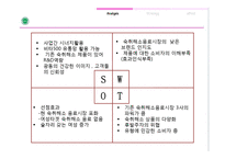 [마케팅전략] 광동제약 여성을위한 숙취해소음료 신제품 출시 마케팅전략-12
