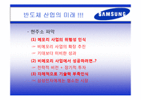 삼성 반도체 기술 발달과 국가-14