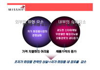 [경영학원론] 미샤 성공과 위기-13