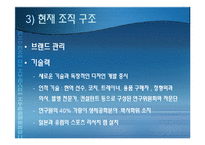 다국적 기업 나이키(Nike)의 조직분석-15