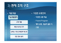 다국적 기업 나이키(Nike)의 조직분석-16