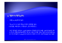 자동차 부품 산업-13