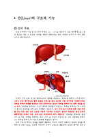 [생명공학, 인체] 독성물질 제거의 신비-4