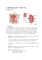 [생명공학, 인체] 독성물질 제거의 신비-11