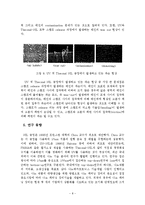 [나노] Nano Imprint Lithography(NIL)기술의 최근 동향-8