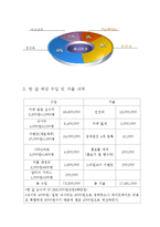 [사업계획서] 대학생 미팅 주선 및 컨설팅 사업계획서-12