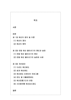 [행정학] 예산 집행의 문제점 -연말 예산 몰아쓰기를 중심으로-2