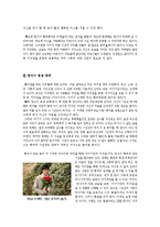 [범죄심리학] 역사와 영화를 통해 알아본 거짓말 심리-20