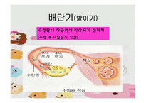 [인간발달] 태내기발달 과 출산-4