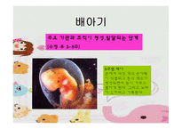 [인간발달] 태내기발달 과 출산-5