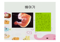 [인간발달] 태내기발달 과 출산-6