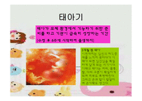 [인간발달] 태내기발달 과 출산-8