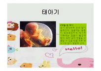 [인간발달] 태내기발달 과 출산-9