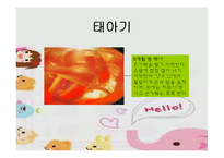 [인간발달] 태내기발달 과 출산-10