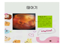 [인간발달] 태내기발달 과 출산-13