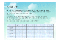 [문제행동관리] 자폐 범주성 장애 아동의 문제행동 지원 전략-13